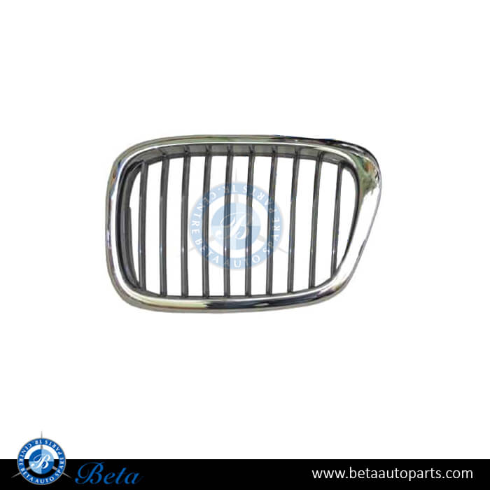 Left Side Grille - Black and Chrome for BMW 5 Series E39 1996-2000 models, Part Number 51132497261 Left Side Grille - Black and Chrome for BMW 5 Series E39 1996-2000 models, Part Number 51132497261